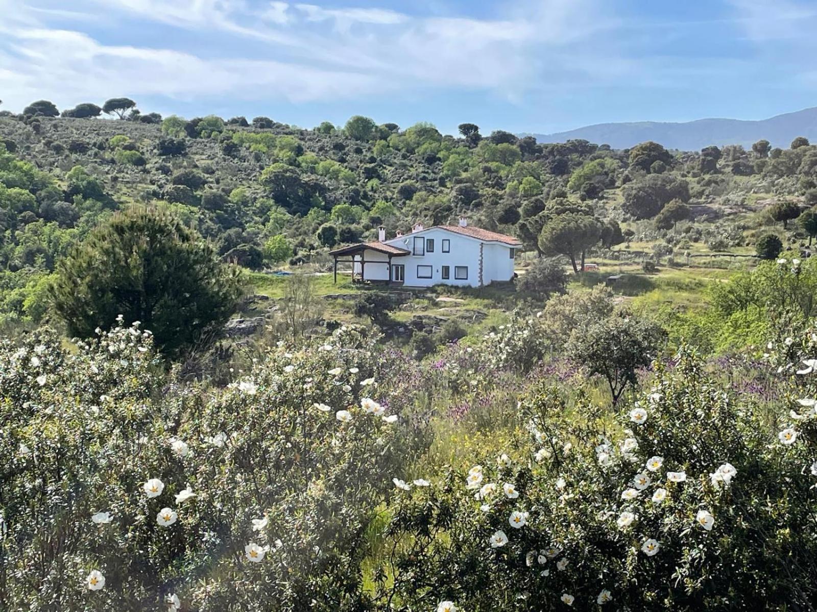 Finca Altair Madrid Bagian luar foto